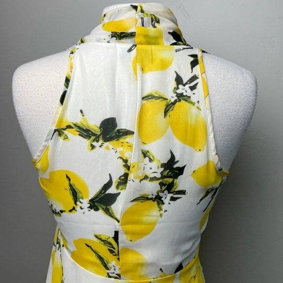Molly Bracken 🍋 Dress - Picture 2 of 4